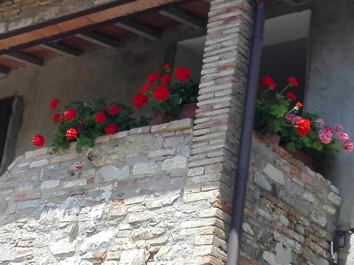 Fattoria Di Rigone Villa Coltavolino Eksteriør bilde