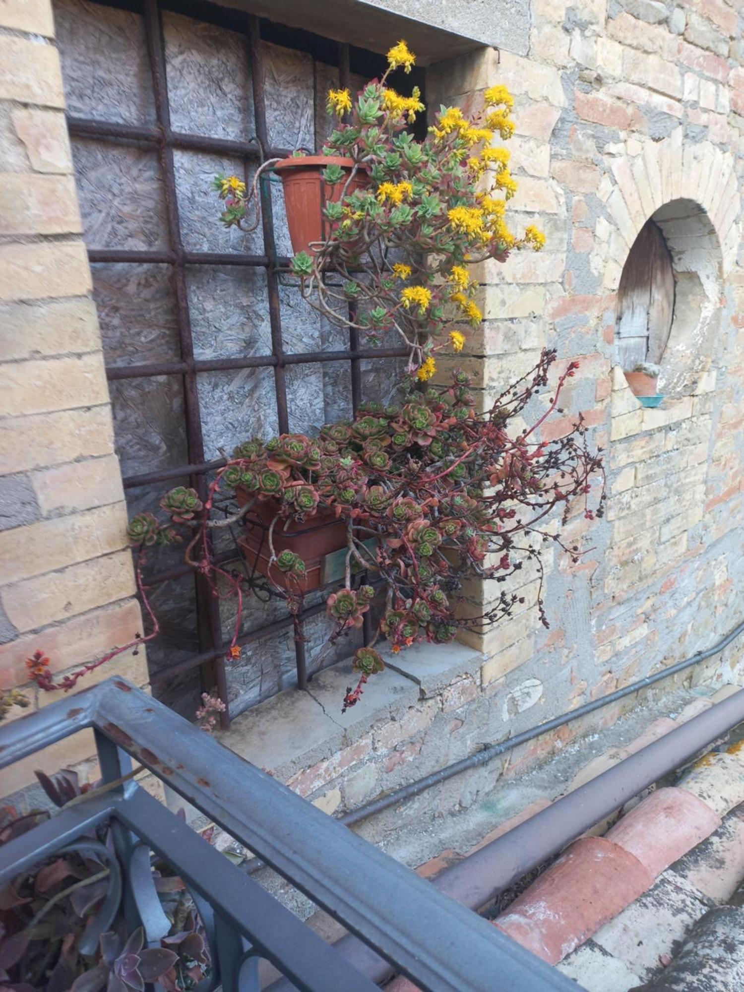 Fattoria Di Rigone Villa Coltavolino Eksteriør bilde
