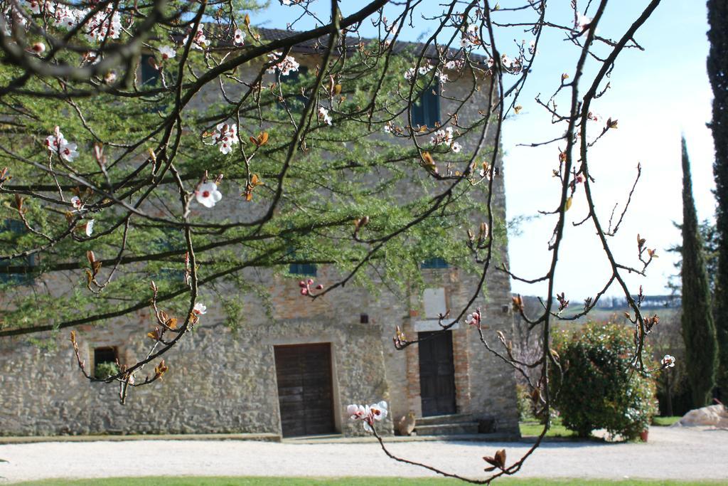 Fattoria Di Rigone Villa Coltavolino Eksteriør bilde