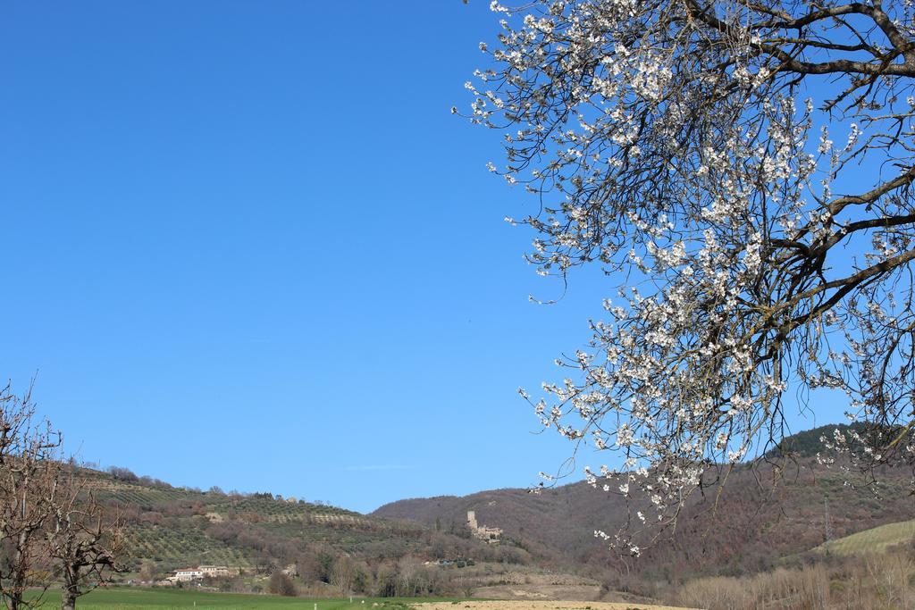 Fattoria Di Rigone Villa Coltavolino Eksteriør bilde