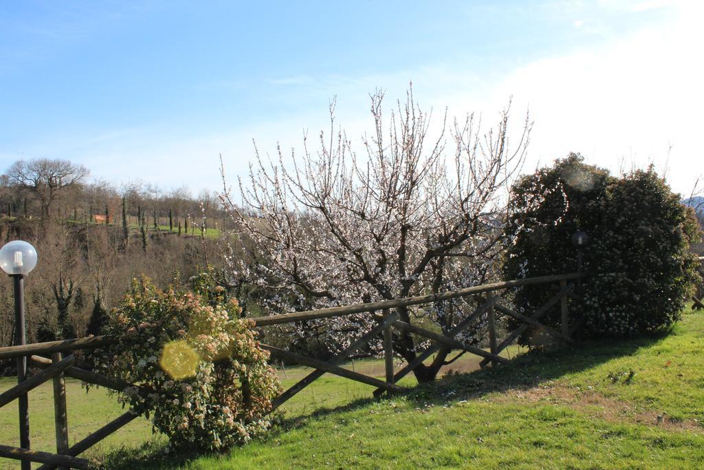 Fattoria Di Rigone Villa Coltavolino Eksteriør bilde