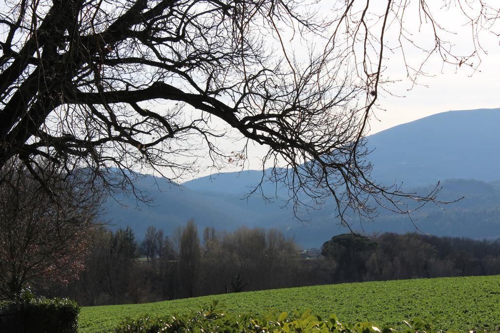 Fattoria Di Rigone Villa Coltavolino Eksteriør bilde