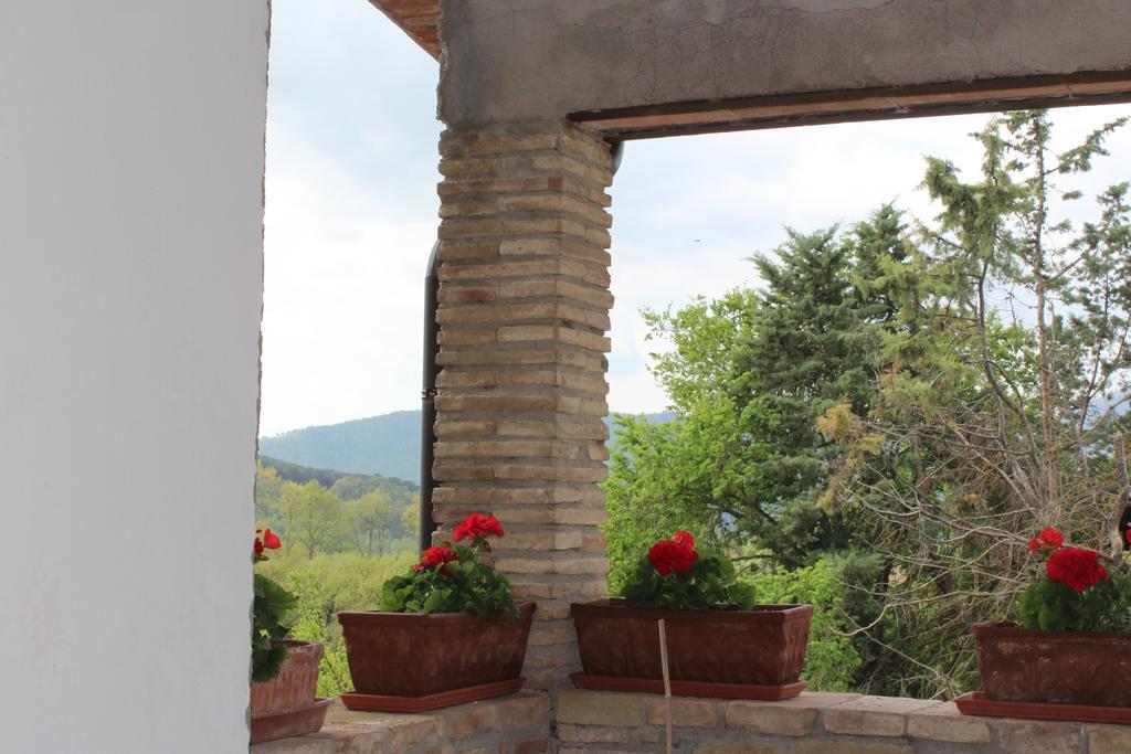 Fattoria Di Rigone Villa Coltavolino Eksteriør bilde
