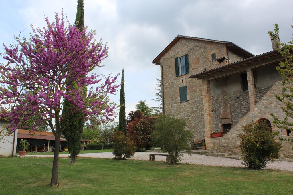 Fattoria Di Rigone Villa Coltavolino Eksteriør bilde